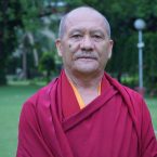 TASHI SAMPHEL